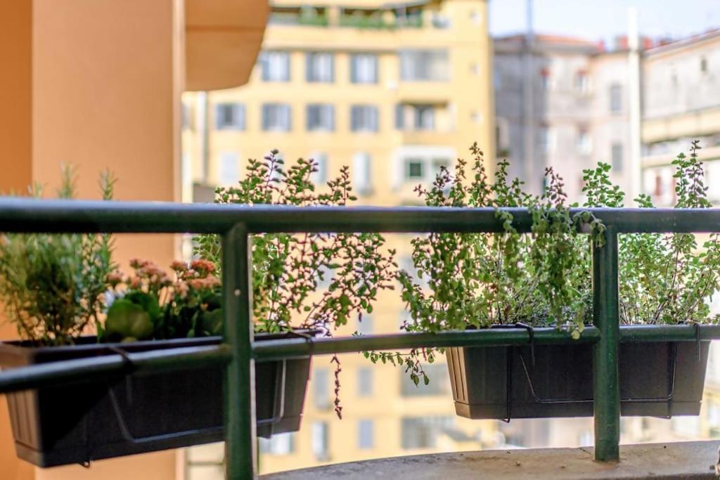 Riboty 10 Suites Rome Bagian luar foto